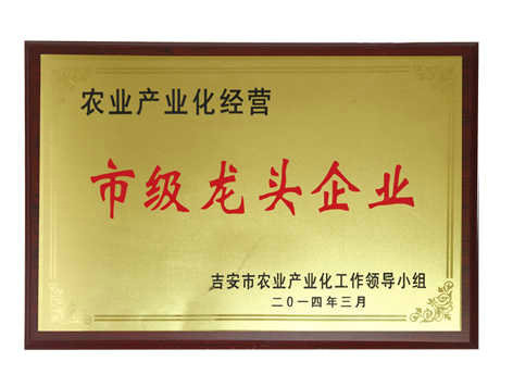 榮譽－市級龍頭企業