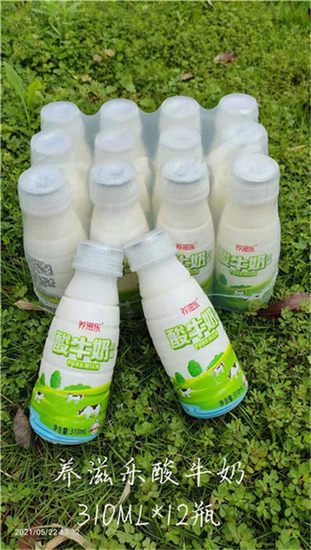 養滋樂酸牛奶