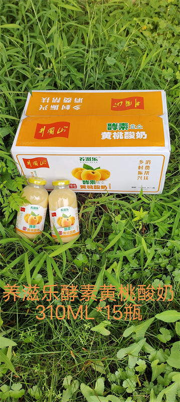 養滋樂酵素黃桃酸奶