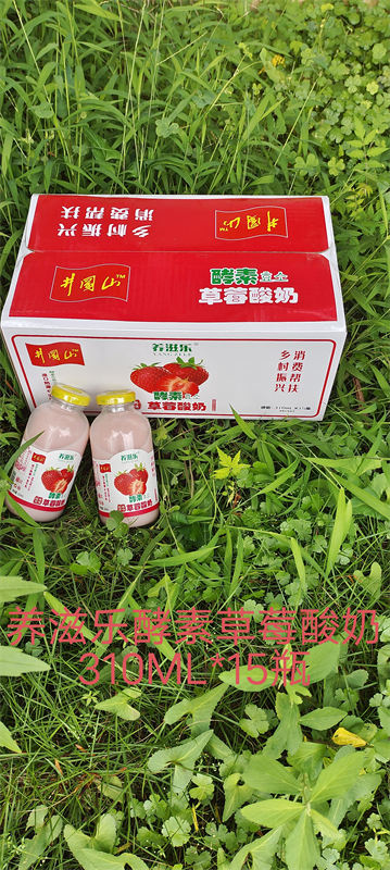 養滋樂酵素草莓酸奶