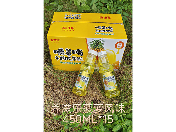 養滋樂菠蘿風味 450ML*15